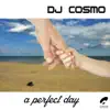 Stream & download A Perfect Day - Single