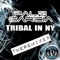 Tribal in NY (Dennis Ramoon Remix) - Palz & Garcia lyrics