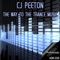 Fly Away (Breakbeat Rework) - CJ Peeton lyrics