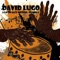 Afro-Licious - David Lugo & Latin Jazz Motion lyrics