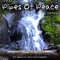 Orinoco Flow (Instrumental Version) - Pan Pipes Chillout Band lyrics