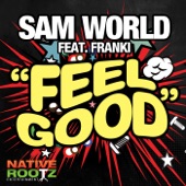 Feel Good (Radio Edit) (feat. Frank-I) artwork