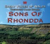 Sons Of Rhonda artwork