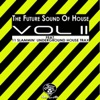 The Future Sound of House Vol 2, 2013