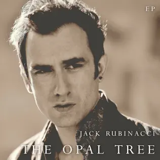 descargar álbum Jack Rubinacci - The Opal Tree