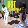 Hot Caribbean Hits artwork