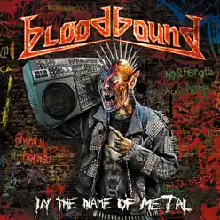 In The Name Of Metal - Bloodbound