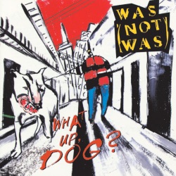 Was (Not Was) - Anything Can Happen