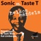 Nelson Mandela - Sonic & Taste T lyrics