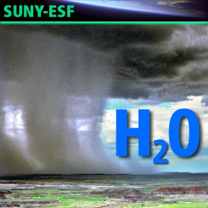 Water Drops: All about H2O - Economics, Management/Policy cover