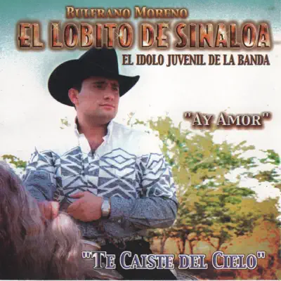 Te Caiste del Cielo - El Lobito de Sinaloa Te Caiste del Cielo - El Lobito de Sinaloa