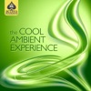 King Makers Presents: The Cool Ambient Experience, 2012