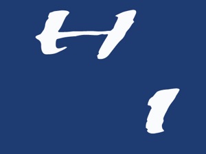 Declaracion de intenciones
