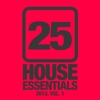 25 House Essentials 2013, Vol. 1