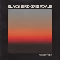 Tangerine Sky - Single by Blackbird Blackbird album reviews, ratings, credits