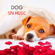 Calming Music (Relax your Dog - Sleep Music) - Pet Care Music Therapy