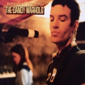 The Dandy Warhols - Bohemian Like You