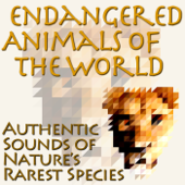 Endangered Animals of the World: Authentic Sounds of Nature's Rarest Species - Pro Sound Effects Library