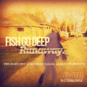 Runaway (Fish Go Deep Remix) artwork