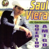 Chano Barraza - Saul Viera