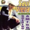 Francisco Álvaro - Saul Viera El Gavilancillo lyrics