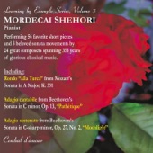 Sonata in C-Sharp Minor, Op. 27: No. 2 "Moonlight", Adagio sostenuto artwork
