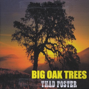 Thad Foster - Ordinary Joe - 排舞 音樂