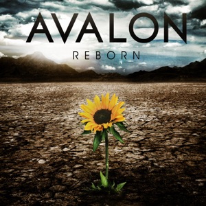 Avalon - Alive - Line Dance Musik