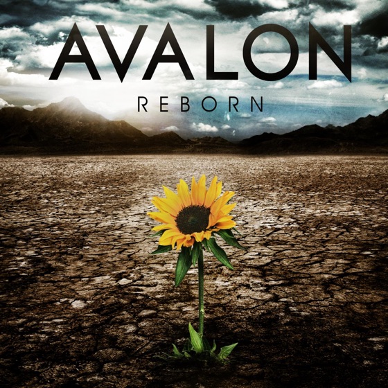 Cover artwork for Alive