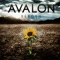 Angels - Avalon lyrics