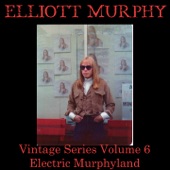 Vintage Series Vol 6 (Electric Murphyland) artwork