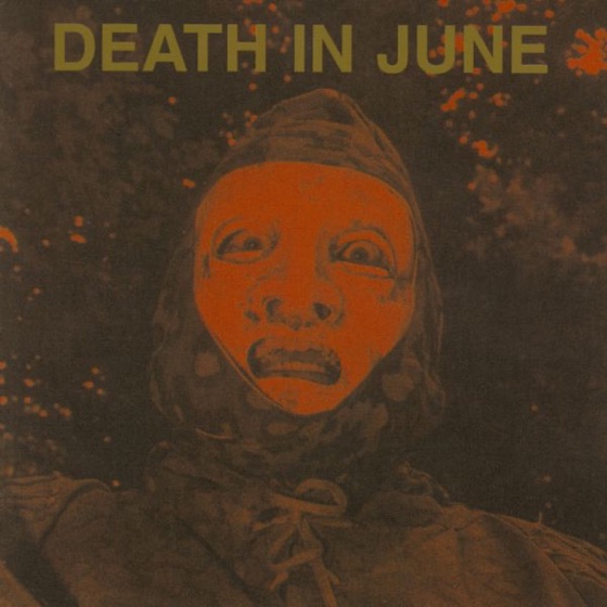 Cover artwork for Leopard Flowers