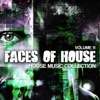 Faces of House, Vol. 11 (House Music Collection), 2012