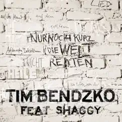 Nur noch kurz die Welt retten (Echo Remix) [feat. Shaggy] - Single by Tim Bendzko album reviews, ratings, credits