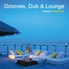 Grooves, Dub & Lounge Vol. 21