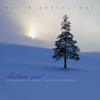 Christmas Spirit - An Instrumental Soundtrack for Seasonal Celebrations - David Arkenstone