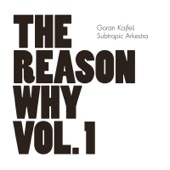 The Reason Why Vol. 1 artwork