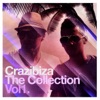 Crazibiza - The Collection, Vol.1
