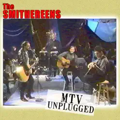MTV Unplugged - EP - The Smithereens