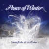 Peace of Winter