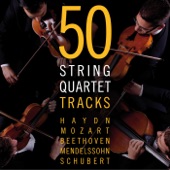 50 String Quartet Tracks - Haydn - Mozart - Beethoven - Mendelssohn - Schubert artwork