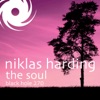Niklas Harding - The Soul (Alaa remix)