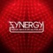 Synergy - Michaël Brun & Special Features lyrics