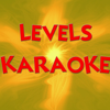 Levels (In the style of Avici) (Karaoke) - The Original Karaoke