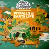 Pitfalls of Earth Life