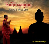 Peace Melody artwork