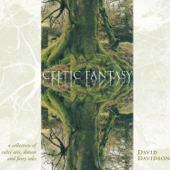 Celtic Fantasy - David Davidson