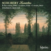 Schubert: Piano Sonatas artwork
