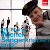 The Best of Wiener Sangerknaben 2012 artwork