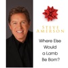 Where Else Would a Lamb Be Born? - Single